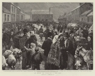 Ein irischer Schweinemarkt an einem Regentag